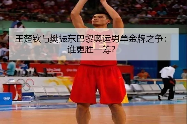 王楚钦与樊振东巴黎奥运男单金牌之争：谁更胜一筹？