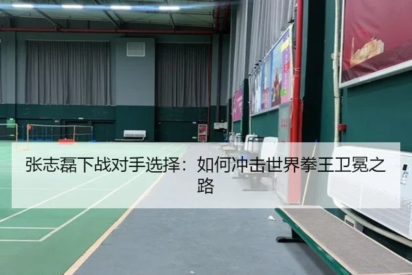 张志磊下战对手选择：如何冲击世界拳王卫冕之路